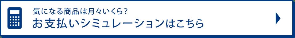 分割払いシミュレーション