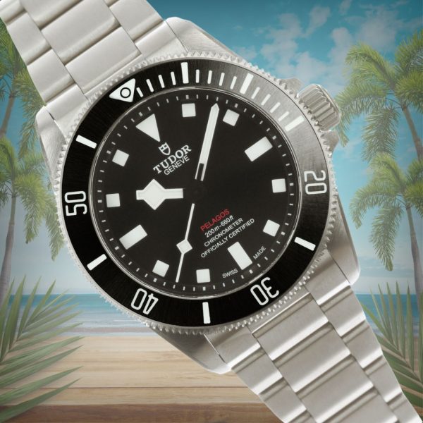 TUDOR チューダー ぺラゴス 39 25407N-0001