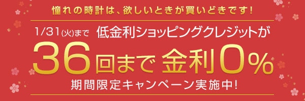 36回まで無金利の分割払い